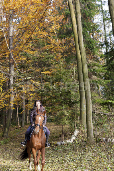 equestrian on horseback in autumnal nature Stock photo © phbcz