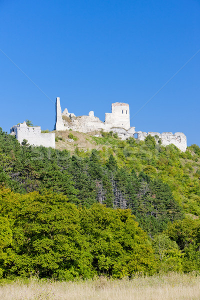 руин замок Словакия здании архитектура история Сток-фото © phbcz