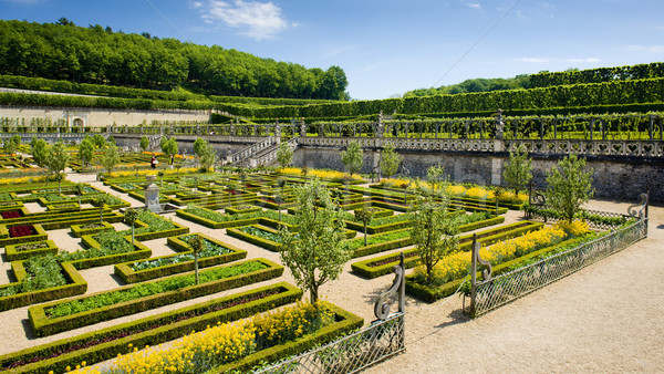 Villandry Castle's garden, Indre-et-Loire, Centre, France Stock photo © phbcz