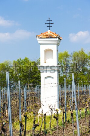 God''s torture with vineyard, Palava, Czech Republic Stock photo © phbcz
