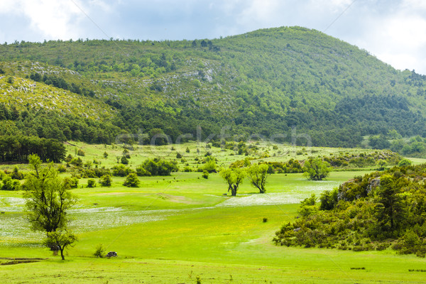 landscape near Verdon, Provence, France Stock photo © phbcz