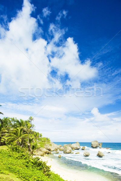 Bathsheba, East coast of Barbados, Caribbean Stock photo © phbcz