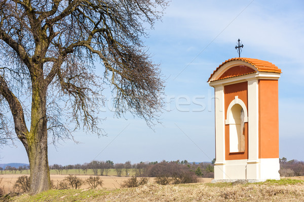 Zdjęcia stock: Region · Czechy · drzewo · architektury