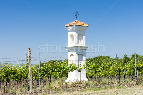Kínzás szőlőskert Csehország épület építészet mezőgazdaság Stock fotó © phbcz