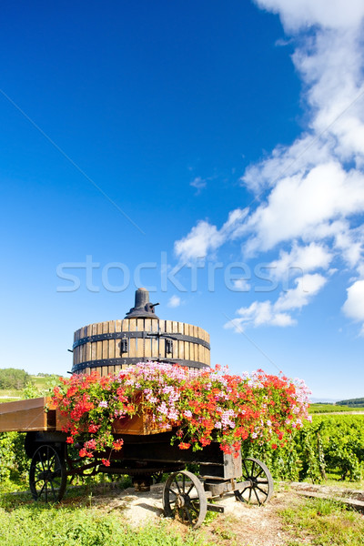 winepress near Pommard, Burgundy, France Stock photo © phbcz