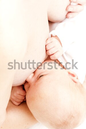 Bebé mujer familia manos amor ninos Foto stock © phbcz