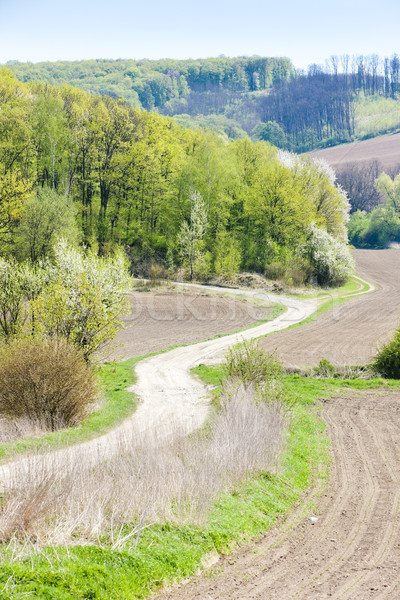 spring landscape with fields in Southern Moravia, Czech Republic Stock photo © phbcz