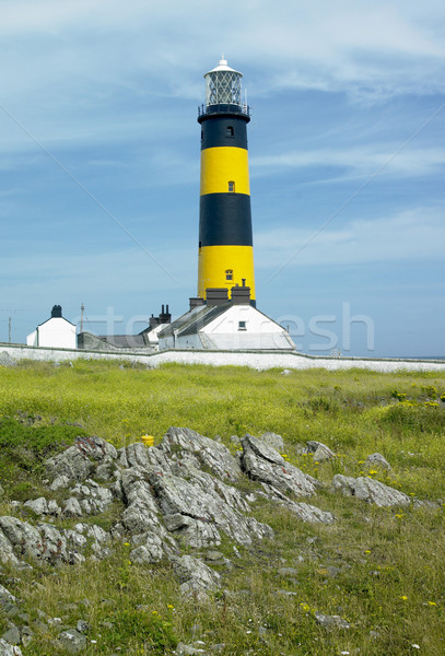 lighthouse, St. John's Point, County Down, Northern Ireland Stock photo © phbcz
