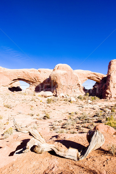 North Window and South Window, Arches National Park, Utah, USA Stock photo © phbcz