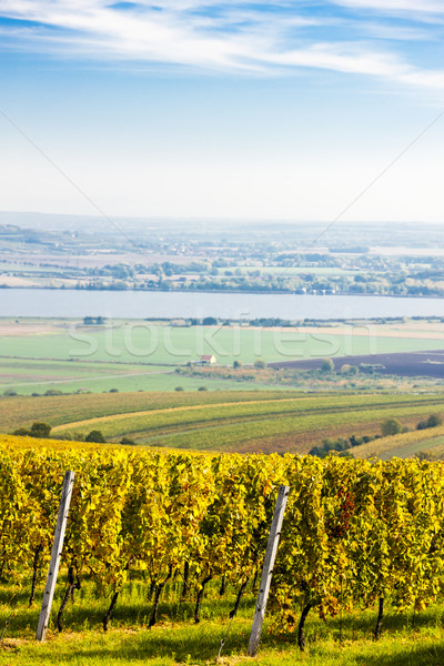 Foto stock: Ver · República · Checa · natureza · outono · país