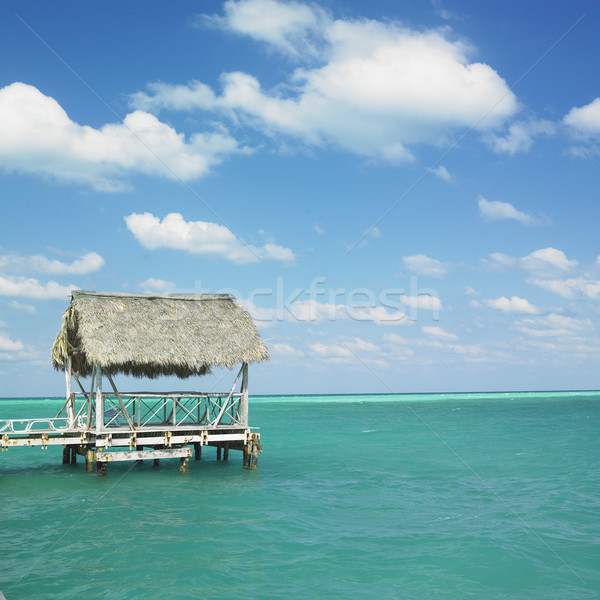 キューバ 水 海 楽園 休日 海岸 ストックフォト © phbcz