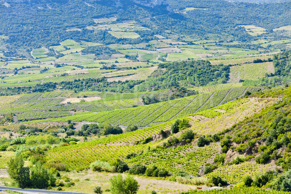 vineyars in Languedoc-Roussillon, France Stock photo © phbcz