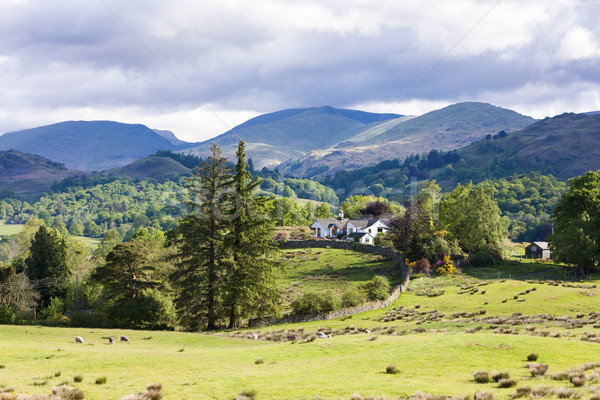 Krajobraz lake district Anglii domu drzewo Europie Zdjęcia stock © phbcz