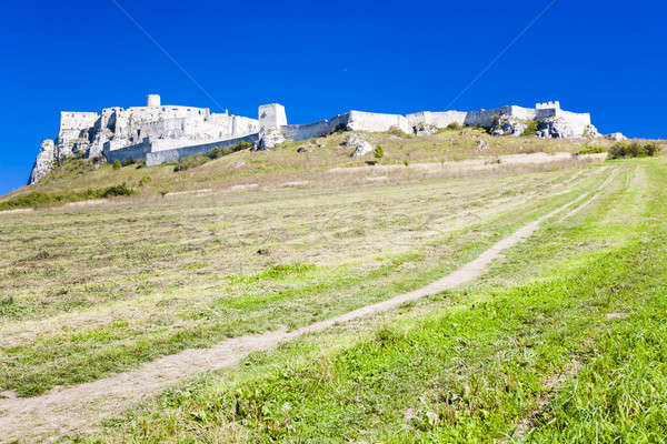 Spissky Castle, Slovakia Stock photo © phbcz