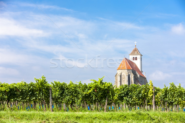 Biserică podgorie scadea Austria constructii călători Imagine de stoc © phbcz
