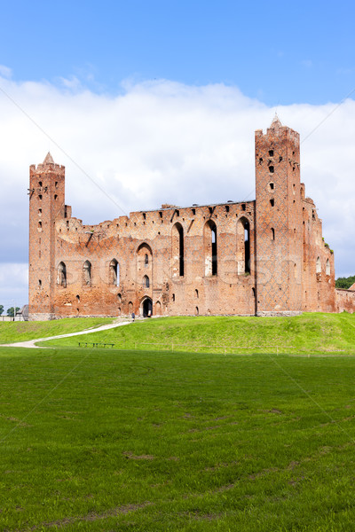 Ruine castel Polonia constructii călători arhitectură Imagine de stoc © phbcz