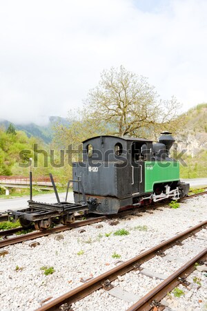 steam train, Ciernohronska Railway, Slovakia Stock photo © phbcz