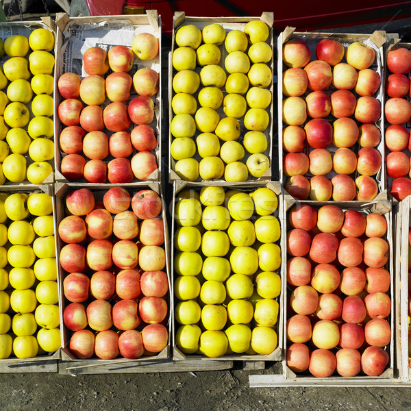 Äpfel Serbien rot Früchte Essen Hintergrund Stock foto © phbcz