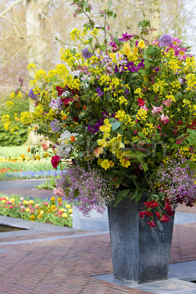 flower bouquet, Keukenhof Gardens, Lisse, Netherlands Stock photo © phbcz