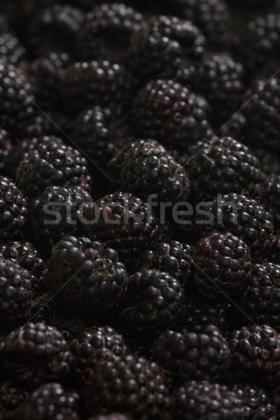 blackberries Stock photo © phbcz