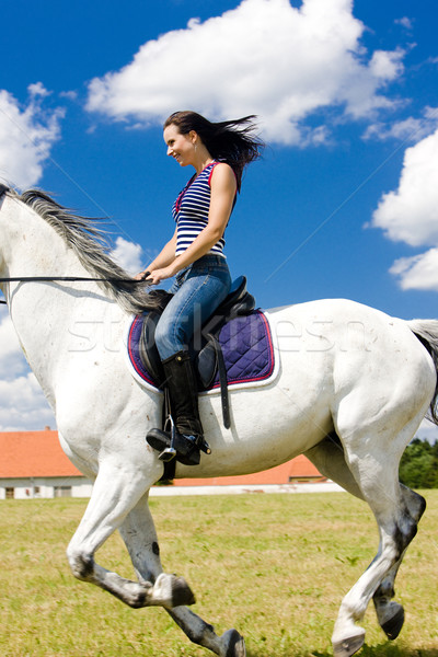 馬背 女子 運行 動物 運行 商業照片 © phbcz