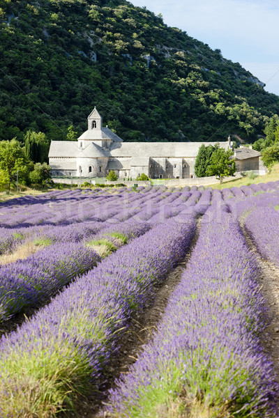 Senanque abbey with lavender field, Provence, France Stock photo © phbcz