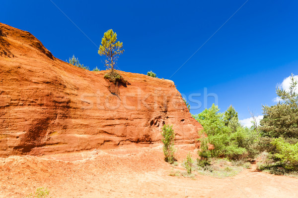 Colorado Francja drzewo podróży rock Europie Zdjęcia stock © phbcz