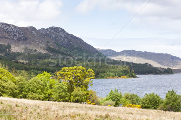 Loch Maree, Highlands, Scotland Stock photo © phbcz