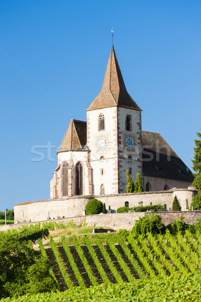 church with vineyard, Hunawihr, Alsace, France Stock photo © phbcz