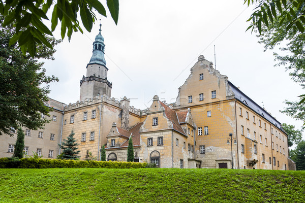 Palast senken Polen Reise Burg Architektur Stock foto © phbcz