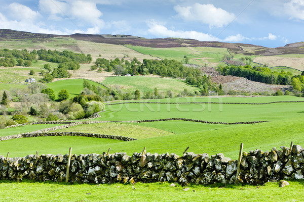 Glen Shee, Highlands, Scotland Stock photo © phbcz