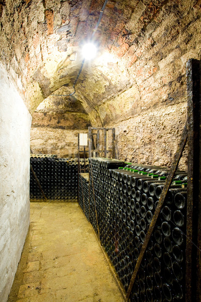 wine archive, wine cellar in Jaroslavice, Czech Republic Stock photo © phbcz