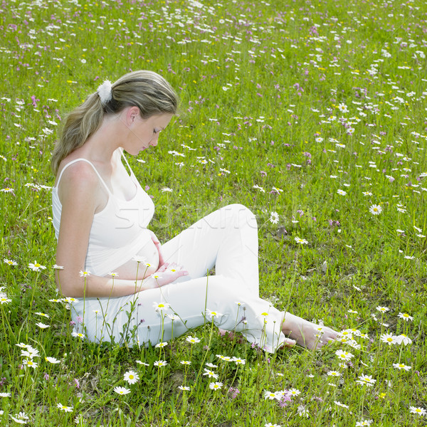 pregnat woman on meadow Stock photo © phbcz