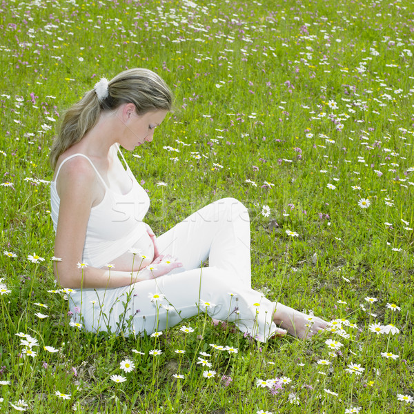 Foto d'archivio: Donna · prato · fiore · fiori · incinta · Daisy