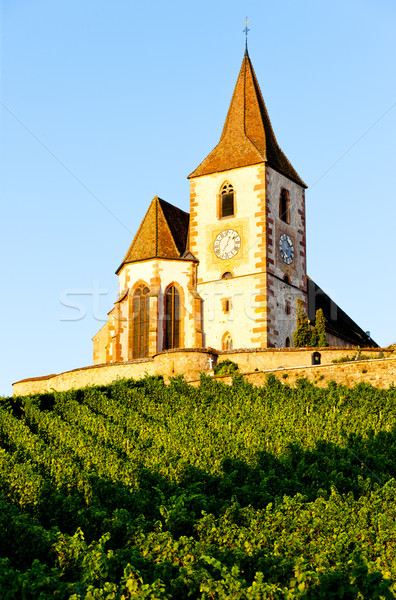 church with vineyard, Hunawihr, Alsace, France Stock photo © phbcz