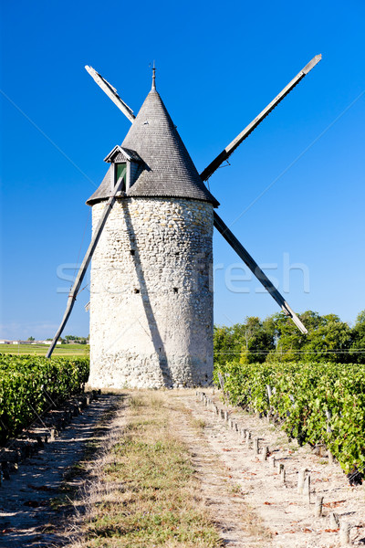 windmill with vineyard near Blaignan, Bordeaux Region, France Stock photo © phbcz