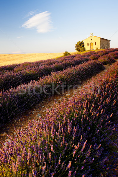 Stok fotoğraf: Küçük · kilise · plato · çiçek · Bina · mimari