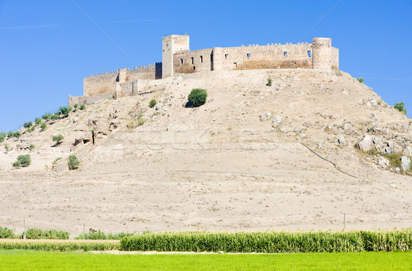 castle in Medellin, Badajoz Province, Extremadura, Spain Stock photo © phbcz