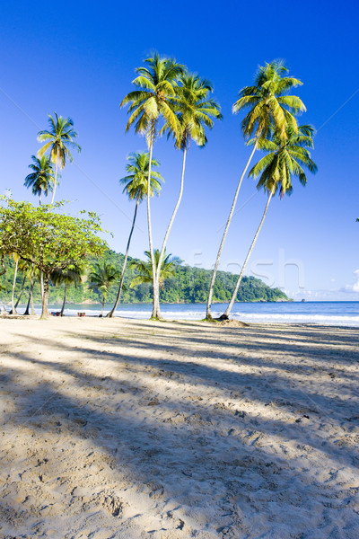 Maracas Bay, Trinidad Stock photo © phbcz