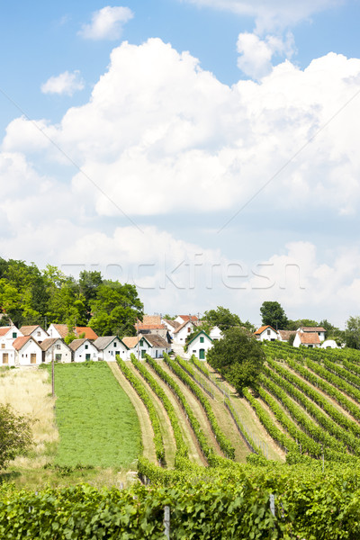 Bor alsó Ausztria építészet Európa szőlő Stock fotó © phbcz