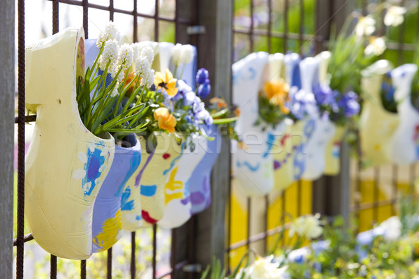Grădini Tarile de Jos floare pantofi pantof obiecte Imagine de stoc © phbcz