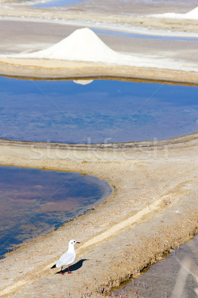 saline, Port des Salines, Oleron Island, Poitou-Charentes, Franc Stock photo © phbcz