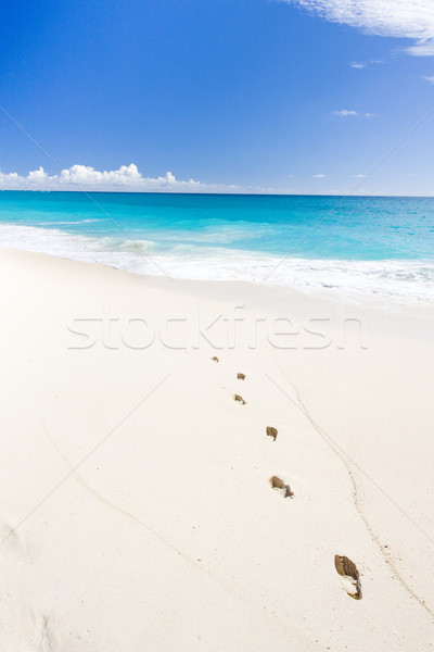 Barbados caribbean landschap zee zomer zand Stockfoto © phbcz
