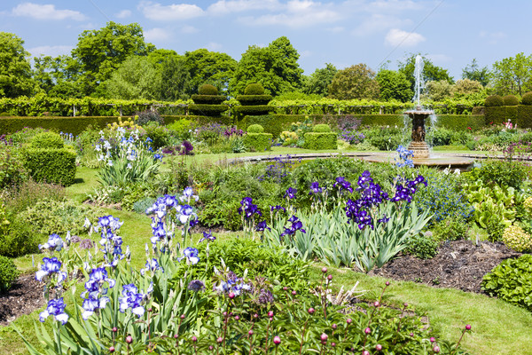 garden of Hatfield House, Hertfordshire, England Stock photo © phbcz