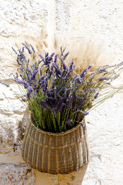 bunch of lavenders, Aiguines, Var Departement, Provence, France Stock photo © phbcz