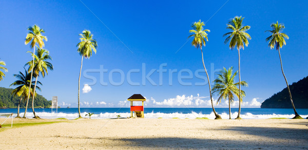 cabin on the beach, Maracas Bay, Trinidad Stock photo © phbcz