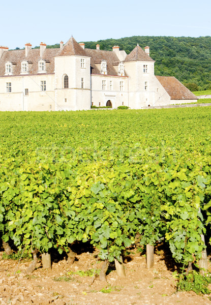 Clos Blanc De Vougeot Castle, Burgundy, France Stock photo © phbcz