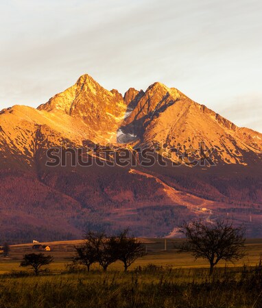 surroundings of Lomnicky Peak, Vysoke Tatry (High Tatras), Slova Stock photo © phbcz