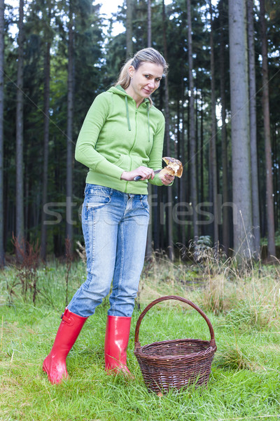 mushroom picking woman Stock photo © phbcz