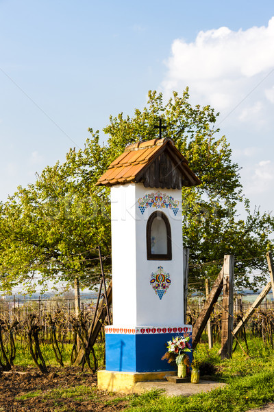 God's torture with vineyard near Nechory, Czech Republic Stock photo © phbcz